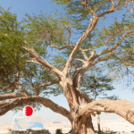 Tree of Life