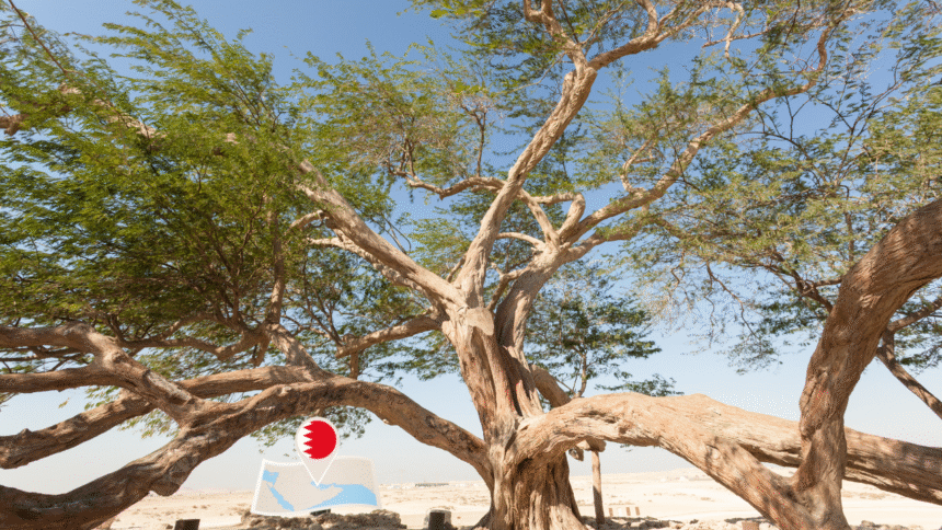 Tree of Life