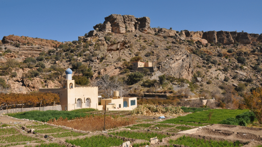 Jabal Akhdar