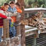 Emirates Park Zoo and Resort