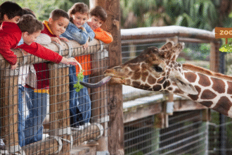 Emirates Park Zoo and Resort
