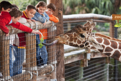 Emirates Park Zoo and Resort