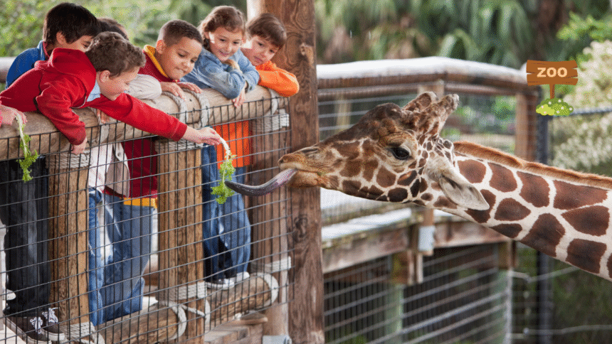 Emirates Park Zoo and Resort