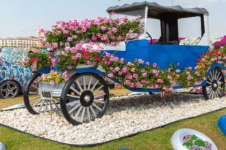 Dubai Miracle Garden