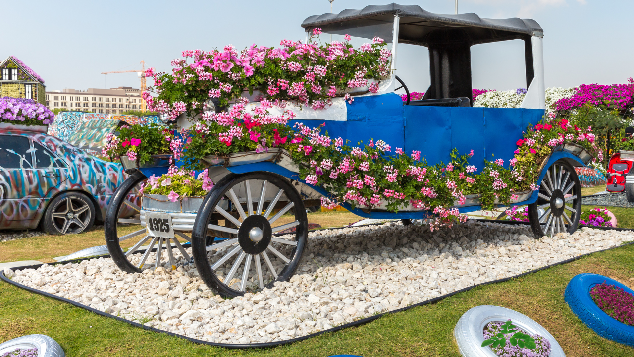 Dubai Miracle Garden