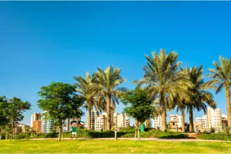 Salmiya Park