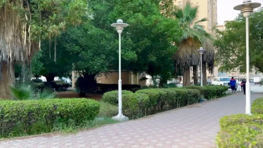 Salmiya Park